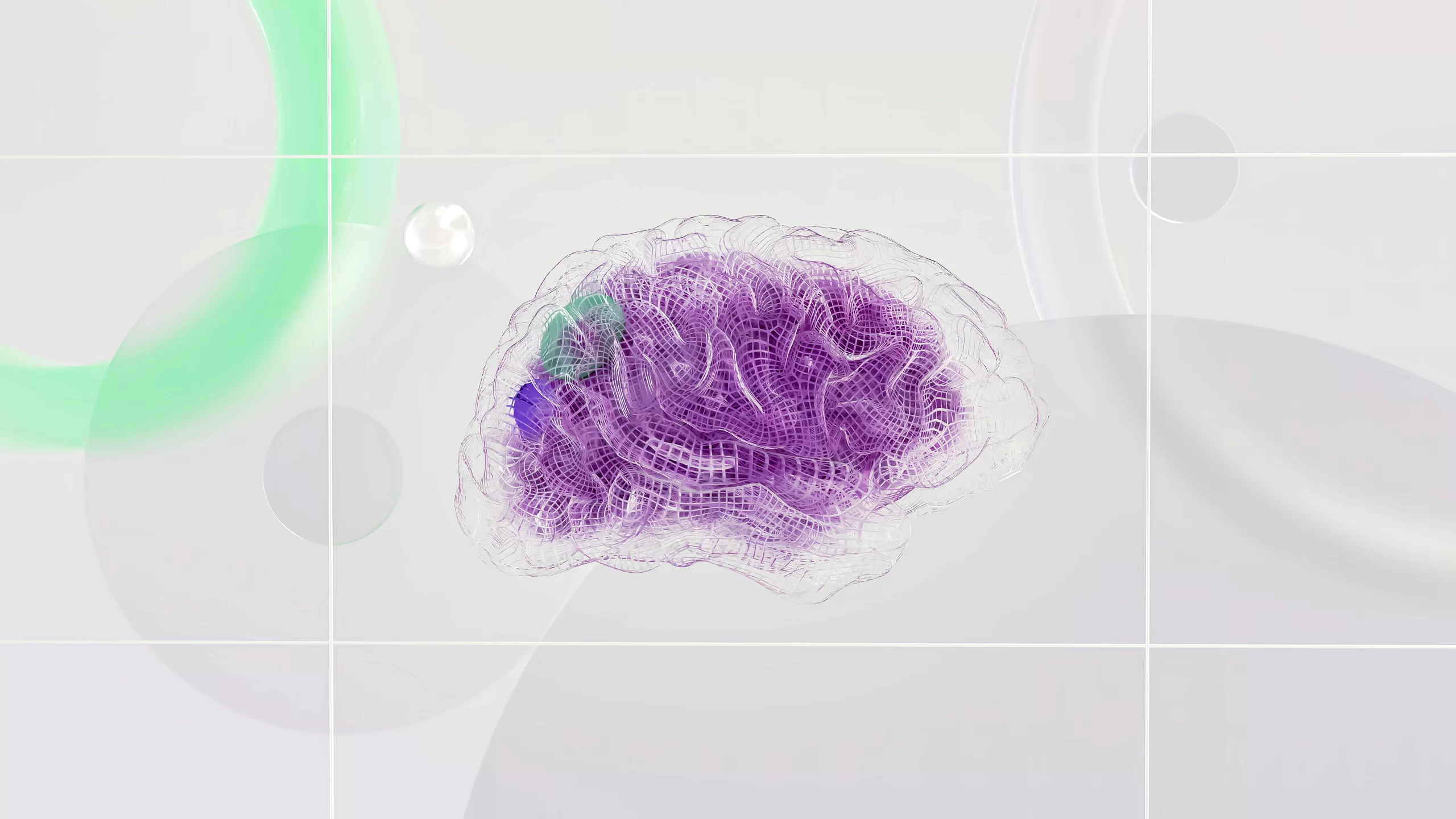 The Role of IL-33 in the Brain